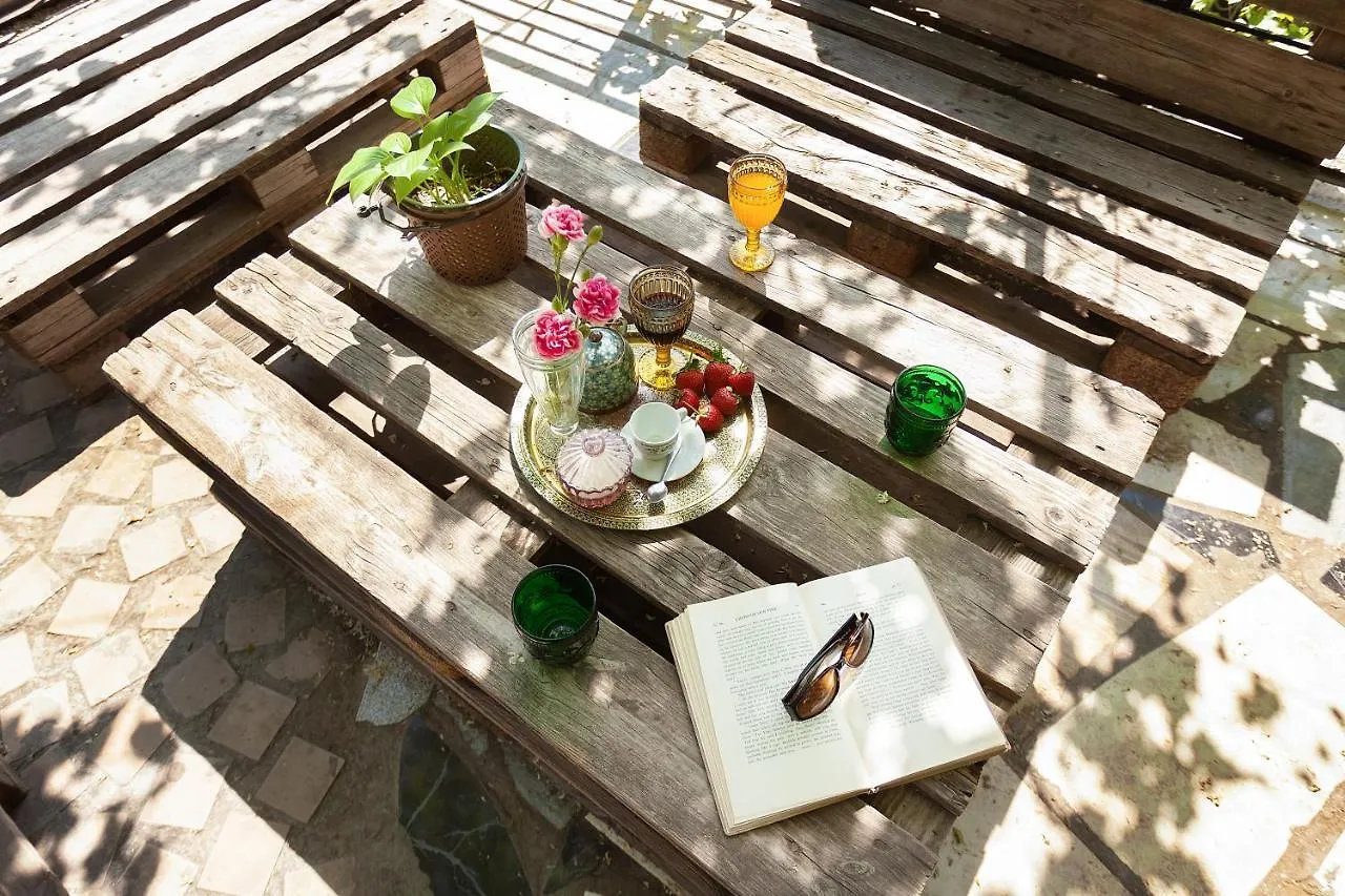 Hostel Indie Mindie Tbilisi Georgia